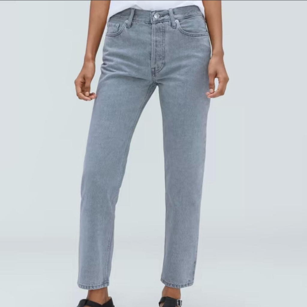 Everlane Womens 26 Regula Gray Relaxed Straight Jean Nwot